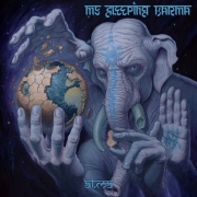 Review: My Sleeping Karma - Atma